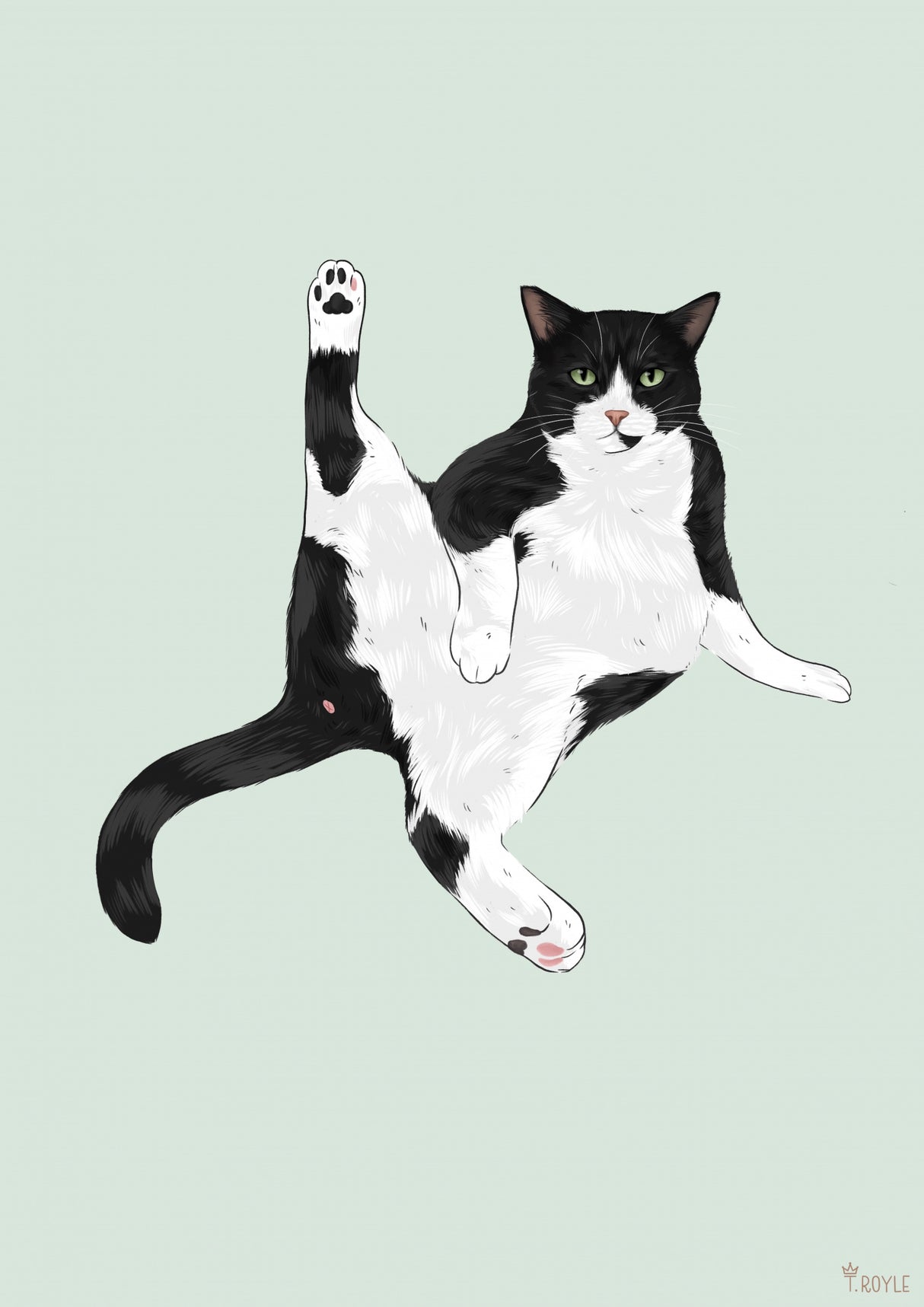 Yoga Cat Poster och Canvastavla