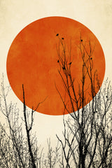 Winter Glow Poster och Canvastavla
