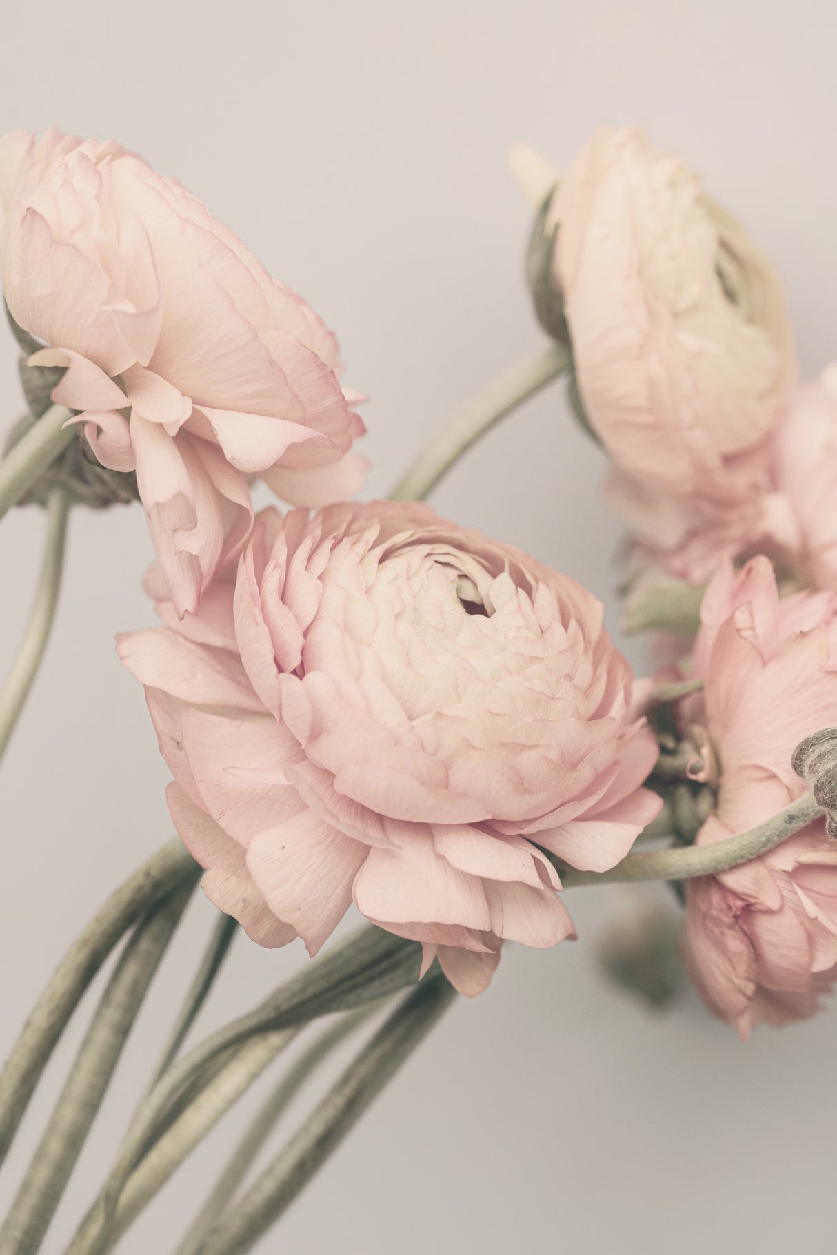 01644 Poster och Canvastavla