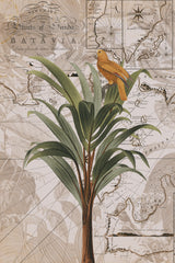 Indonesia Jungle Paradise No2 Poster och Canvastavla