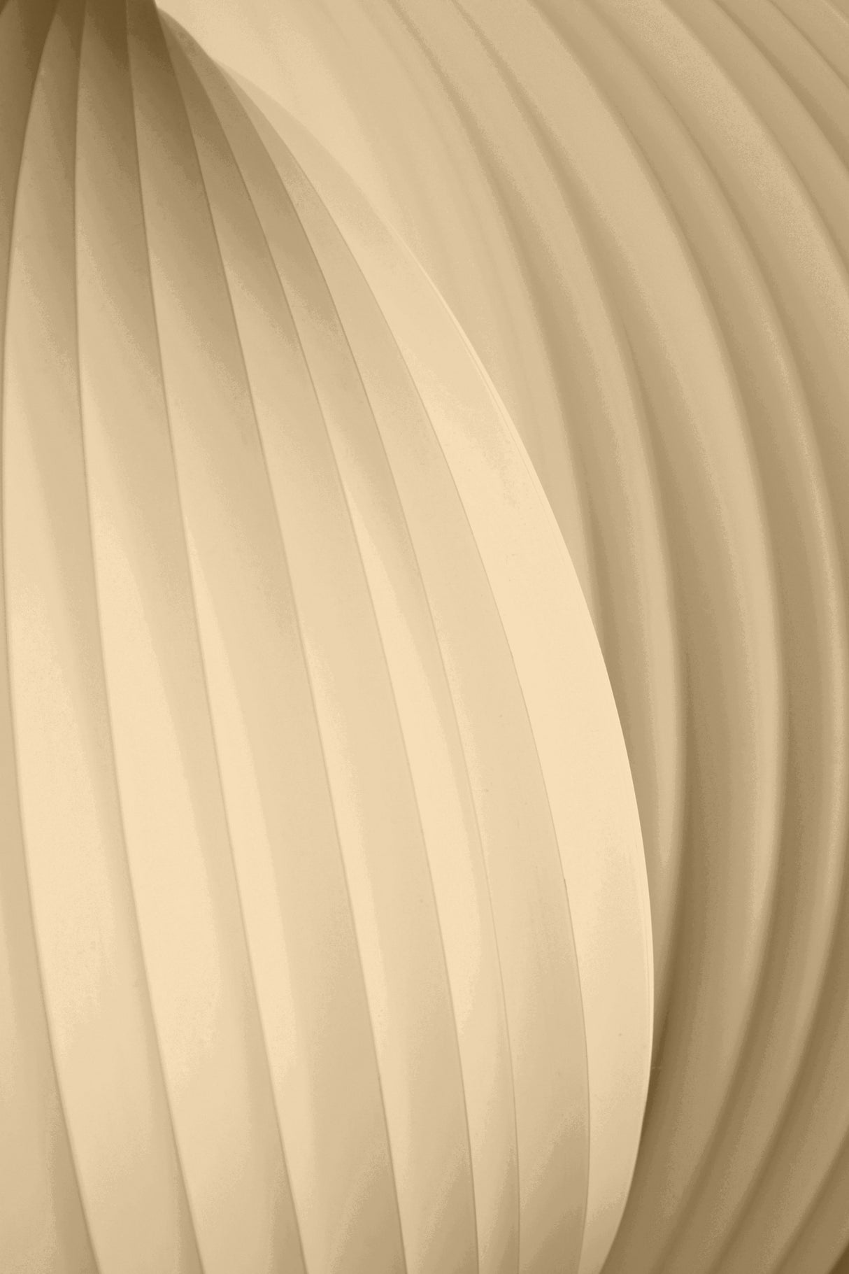 Soft Lemon Poster och Canvastavla