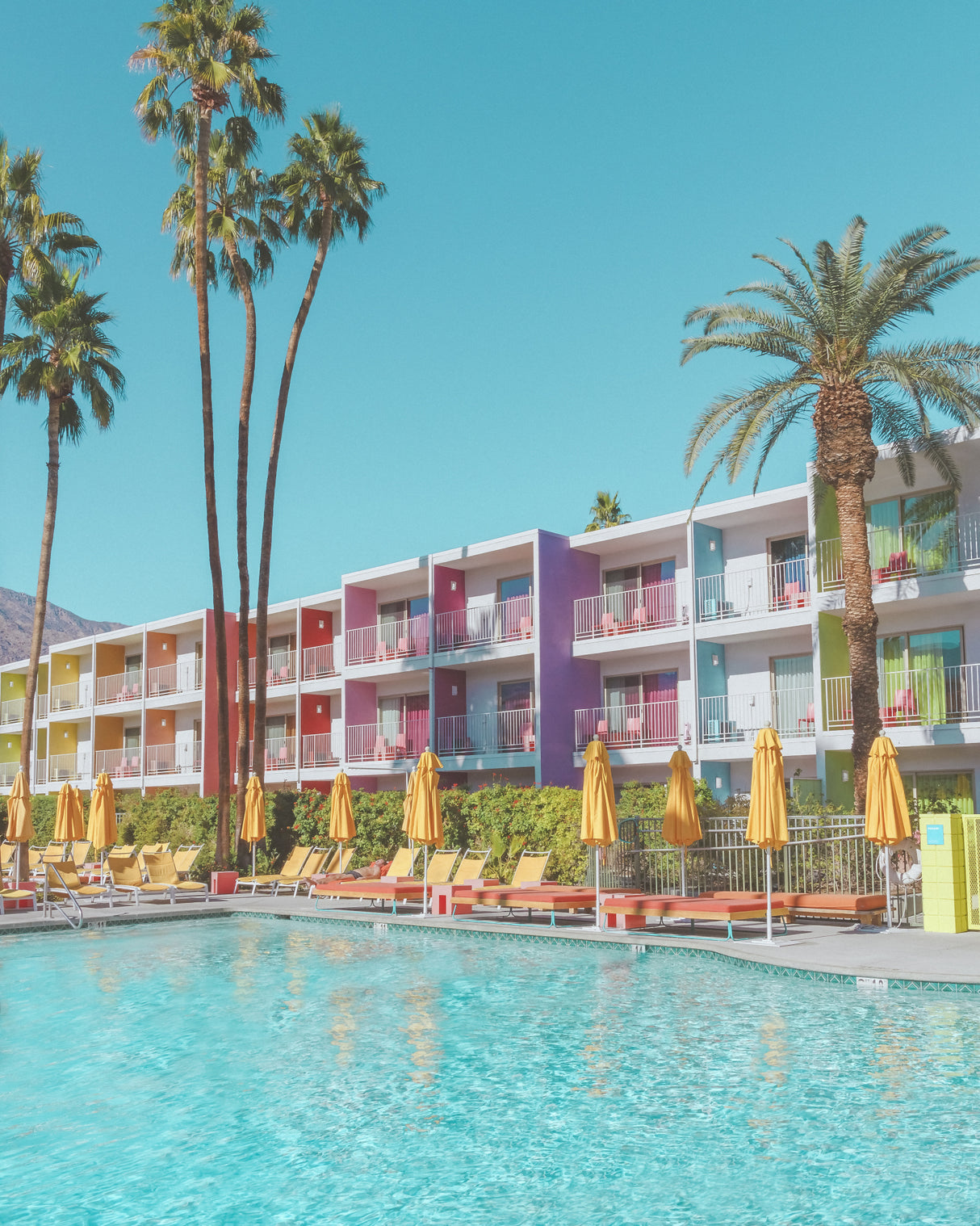 Saguaro Hotel Poolside in Palm Springs Poster och Canvastavla