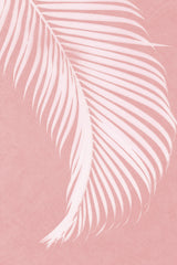 Palm Leaves On Pink Silhouette I Poster och Canvastavla