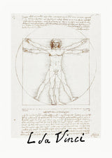 Vitruvian Man Signature Poster och Canvastavla