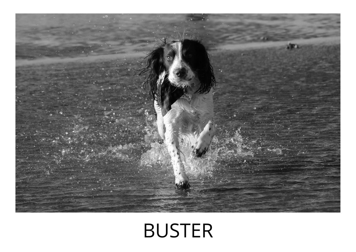 Ladda upp egen bild med text