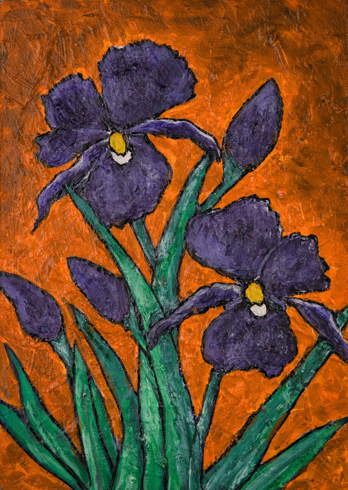 Irises Poster och Canvastavla
