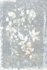 Botanical White Textured Floral 2 Poster och Canvastavla
