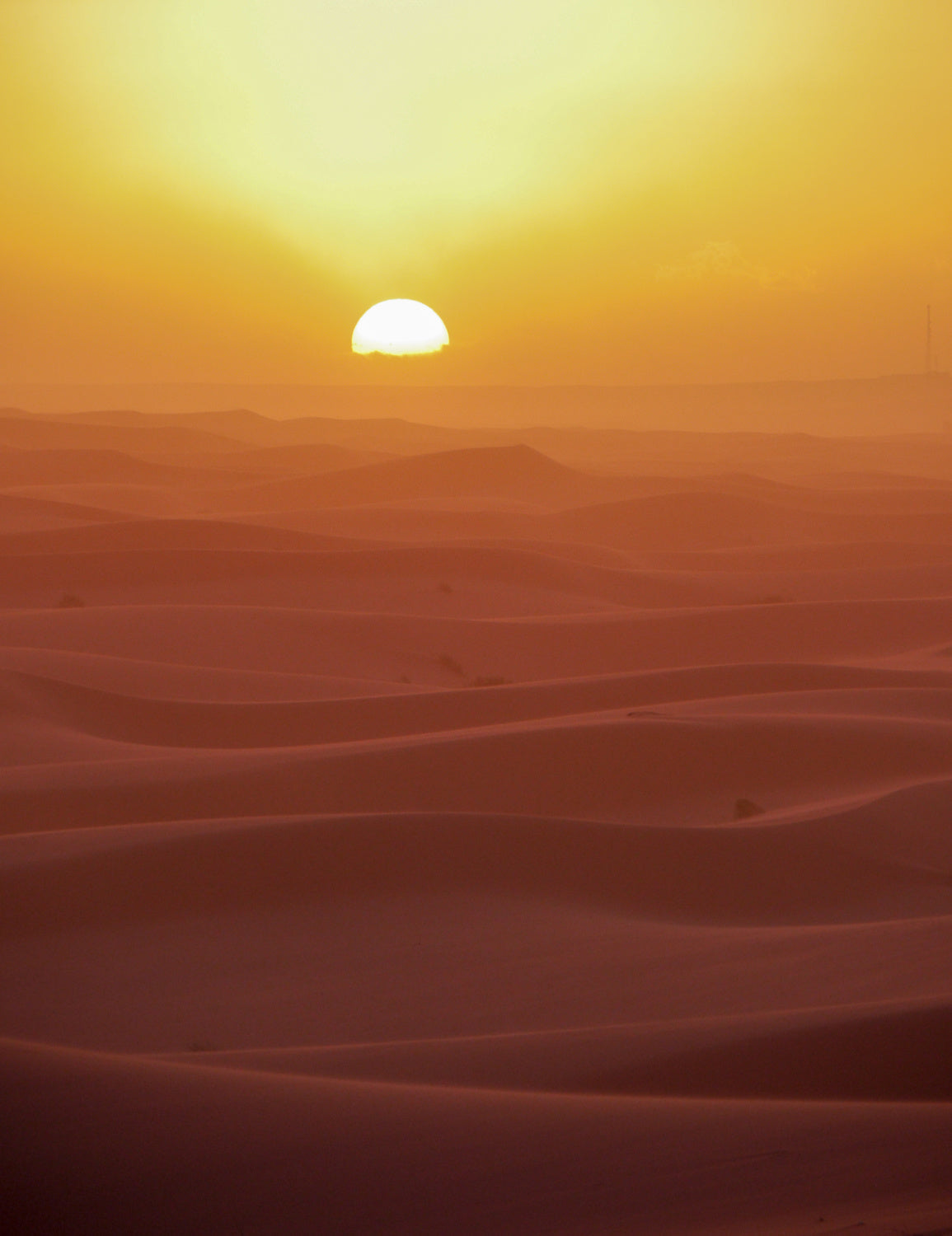 Sunset over Dunes Poster och Canvastavla
