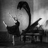 Dancer in black Poster och Canvastavla