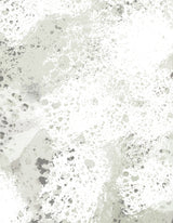 Charcoal White Poster och Canvastavla