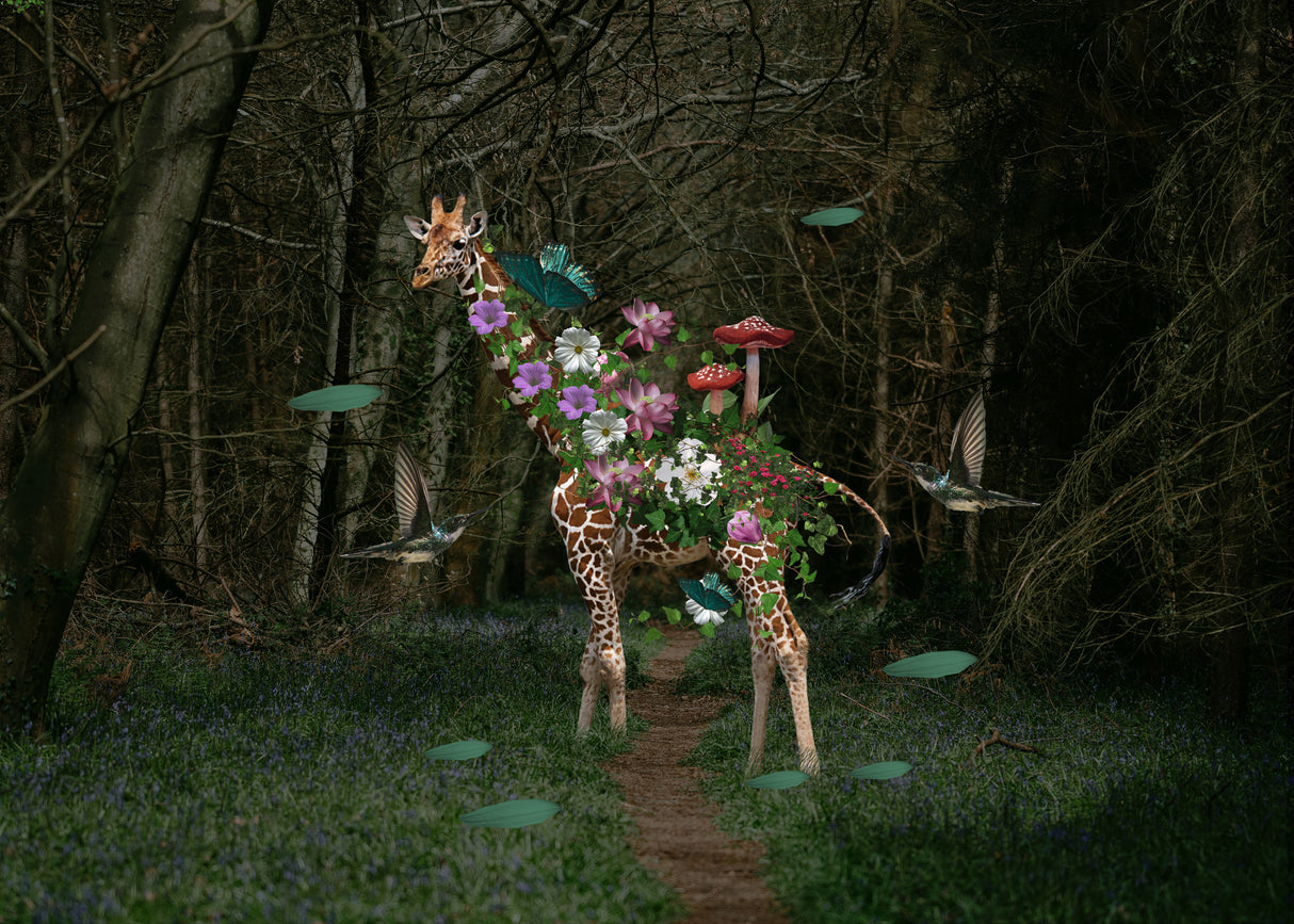 Giraffe Poster och Canvastavla