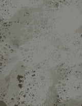 Euphrates Poster och Canvastavla