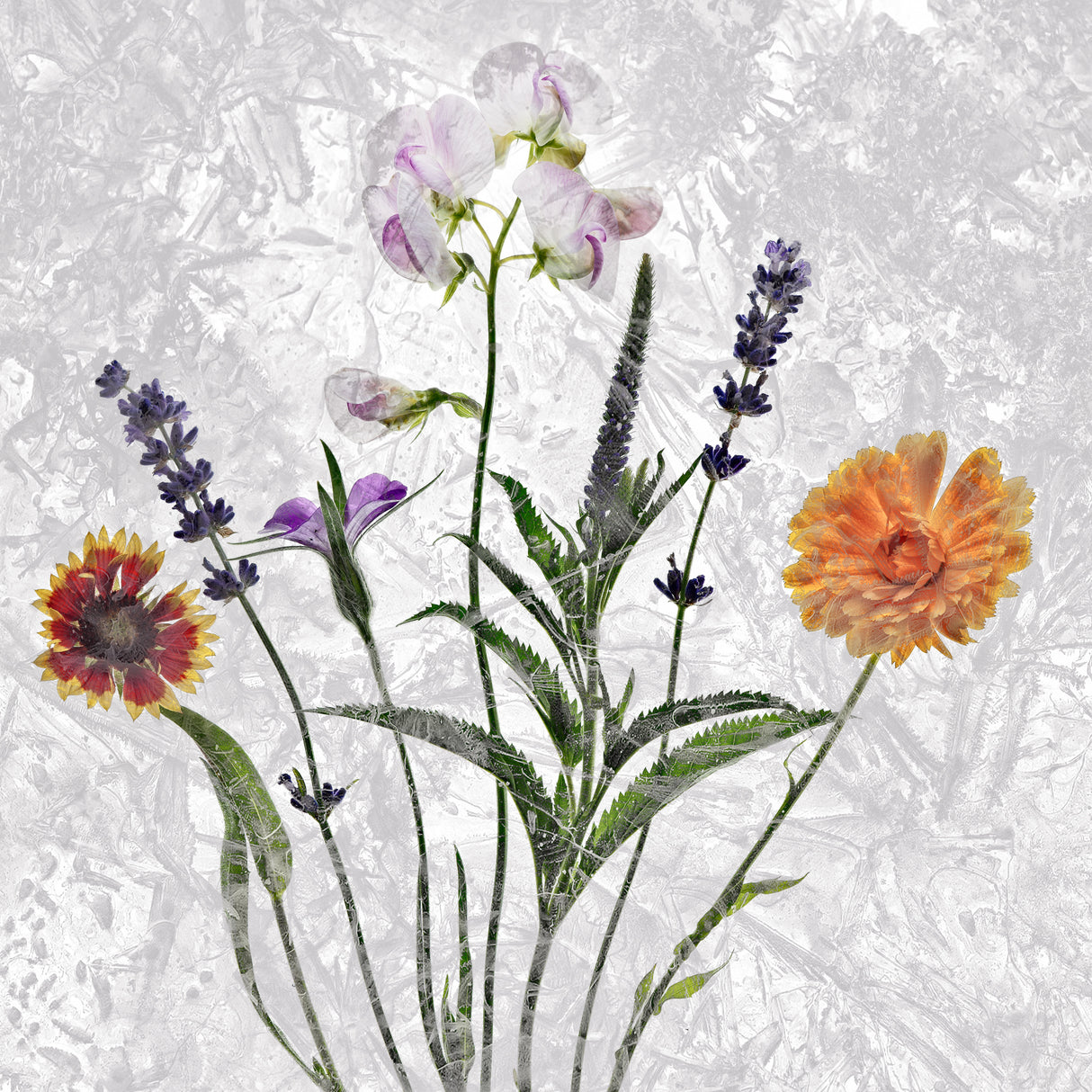 frozen garden flowers Poster och Canvastavla