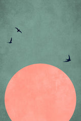 A Beautiful Day Poster och Canvastavla
