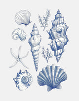 11x14 Shell Collage Poster och Canvastavla