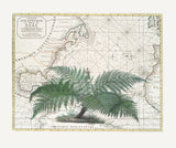 Tropical Empire No4 Poster och Canvastavla