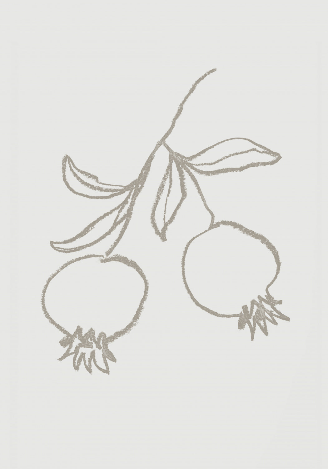 Pomegranate Green Poster och Canvastavla