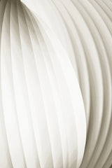 Soft Curves Poster och Canvastavla