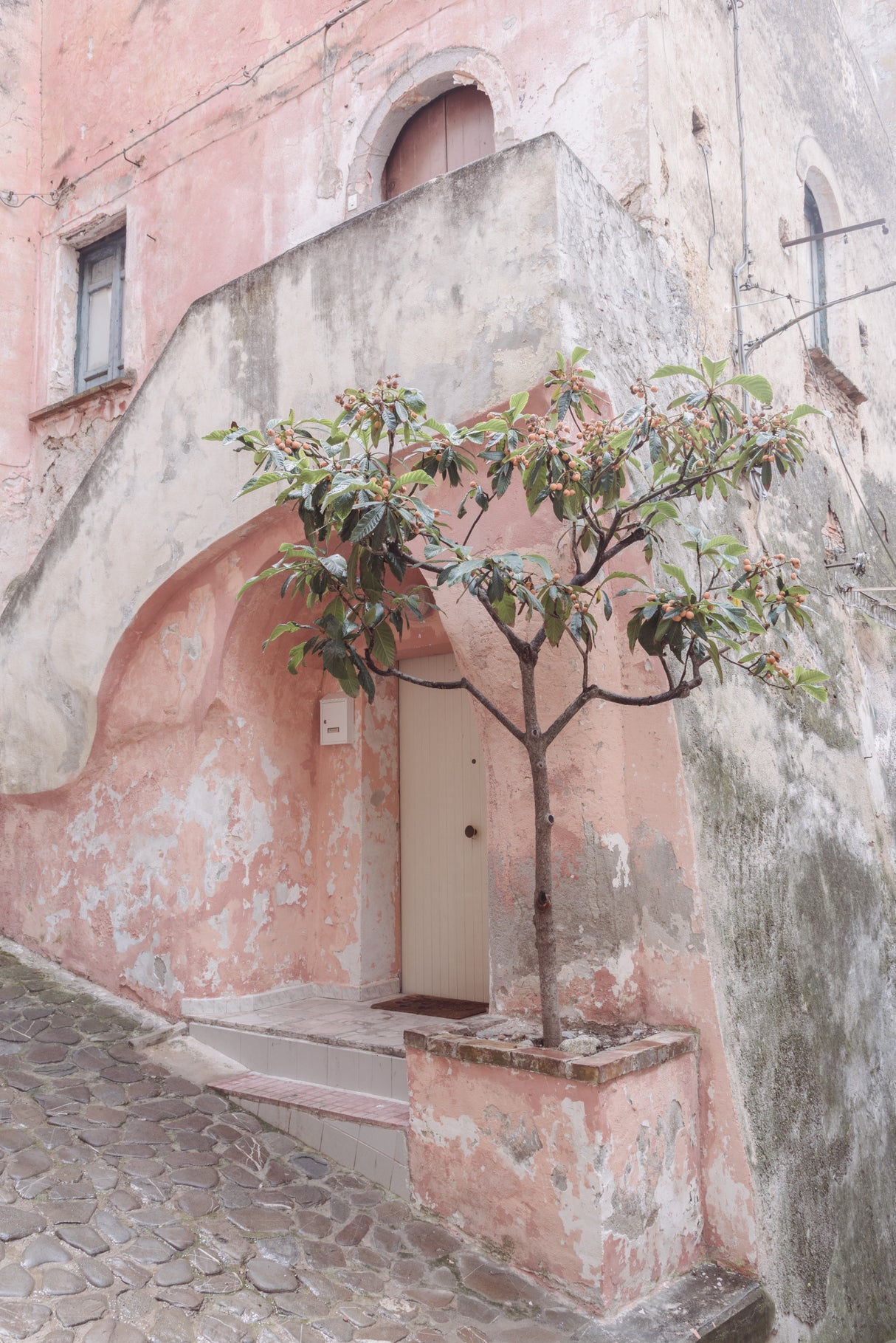 Pink house in Corigliano Calabro Poster och Canvastavla