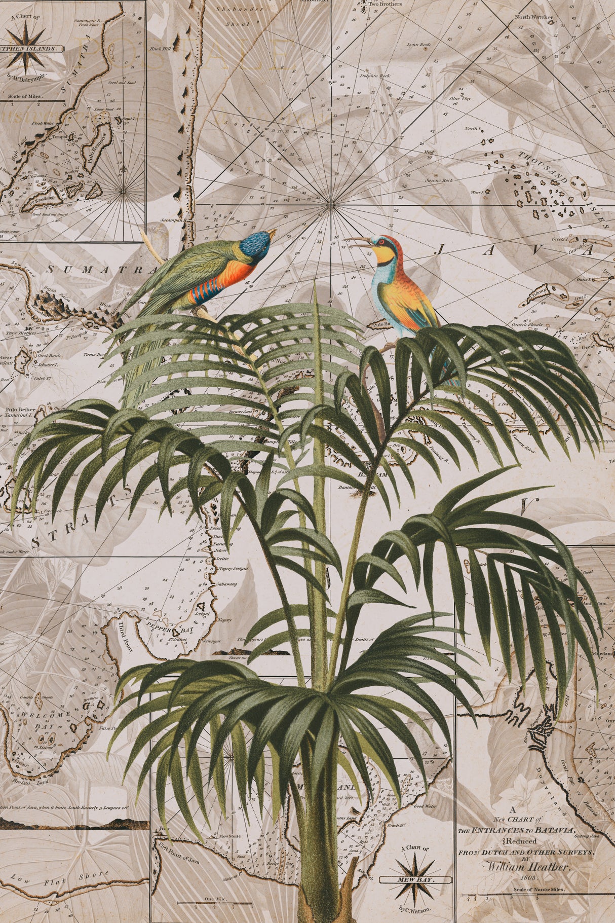 Indonesia Jungle Paradise No3 Poster och Canvastavla