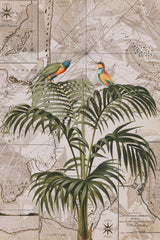 Indonesia Jungle Paradise No3 Poster och Canvastavla