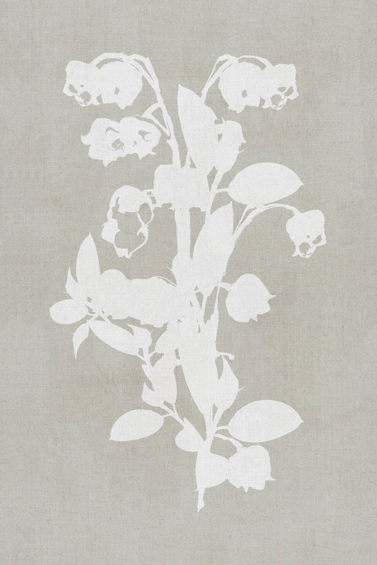 Botanical Illustration 4 Poster och Canvastavla
