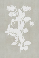 Botanical Illustration 4 Poster och Canvastavla