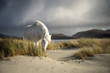 Outer Hebrides, no AI Poster och Canvastavla