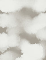 Cloudy Poster och Canvastavla