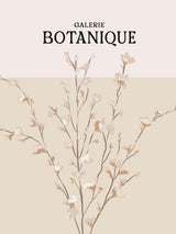 Galeriebotaniqueno5 Poster och Canvastavla