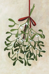 Mistletoe bouquet with bow Poster och Canvastavla