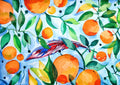 Orange Blue Poster och Canvastavla