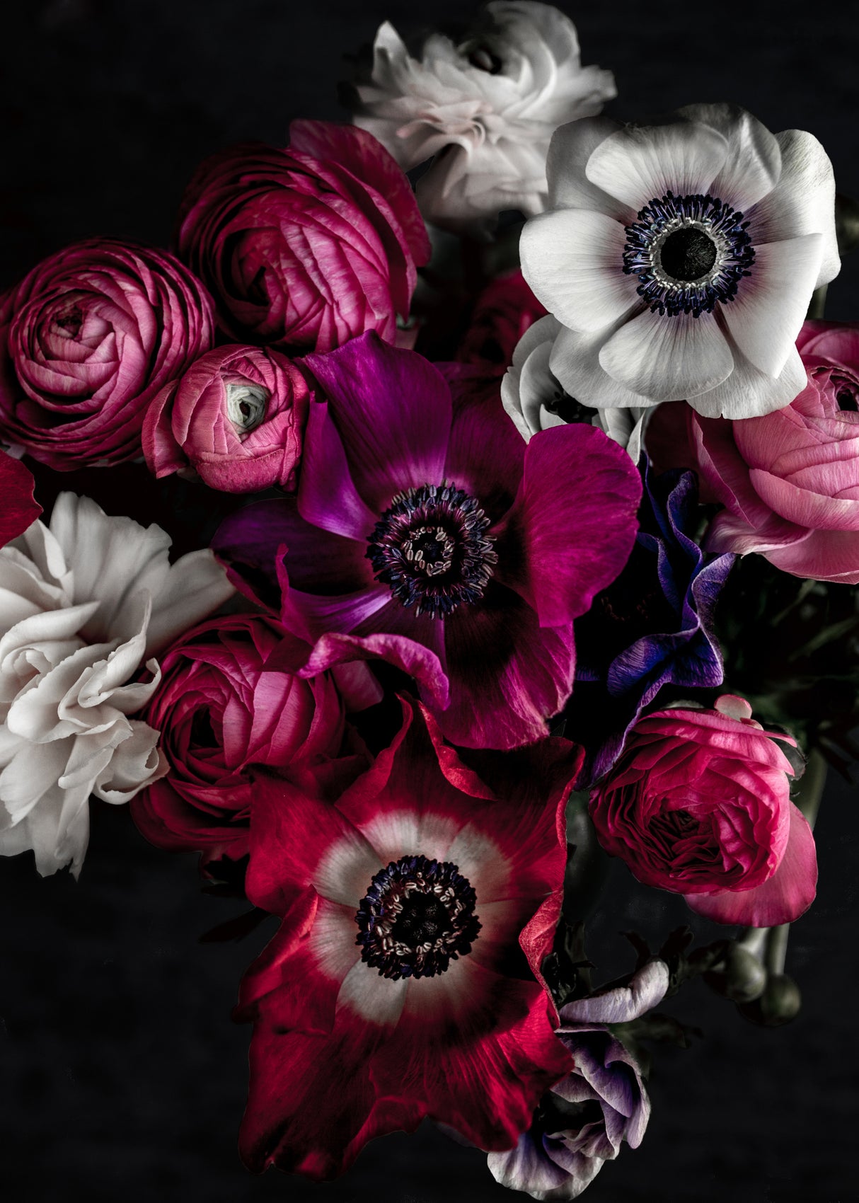 Dark Flowers 1 Poster och Canvastavla