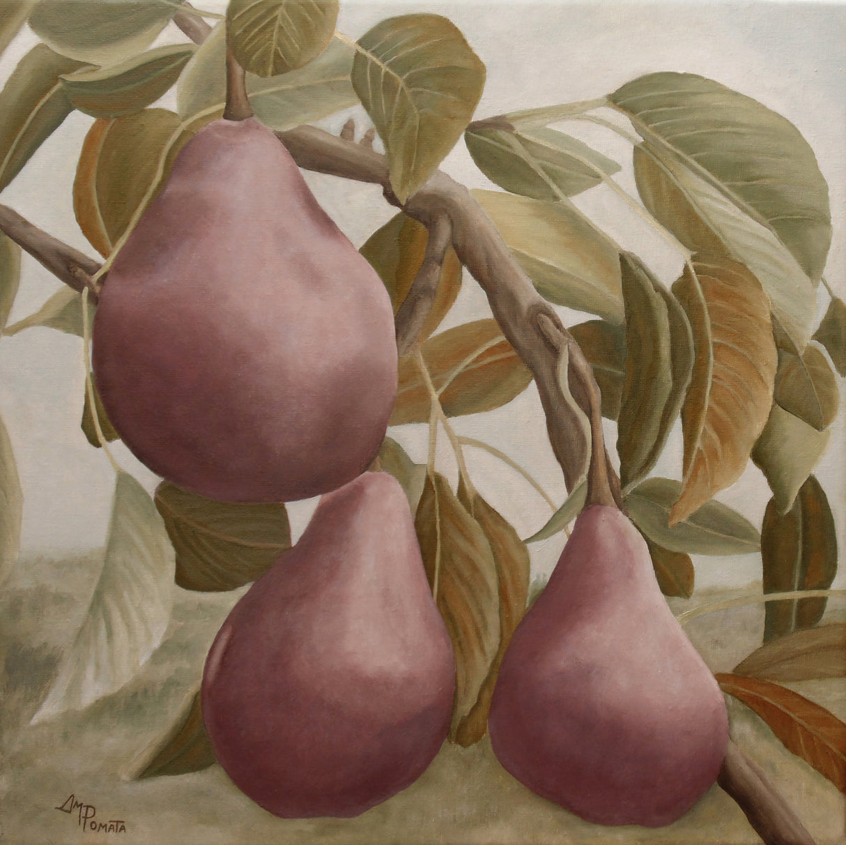 Max Red Bartlett Pears Poster och Canvastavla