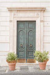 The Old Door Poster och Canvastavla