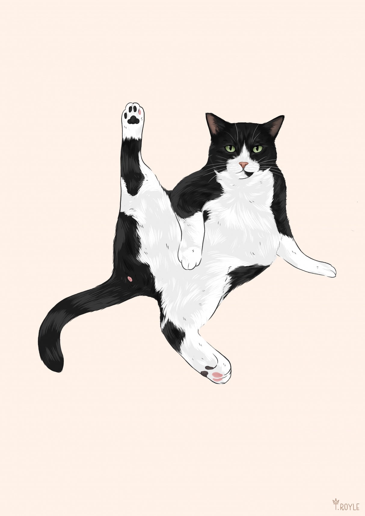 Sassy Cat Poster och Canvastavla