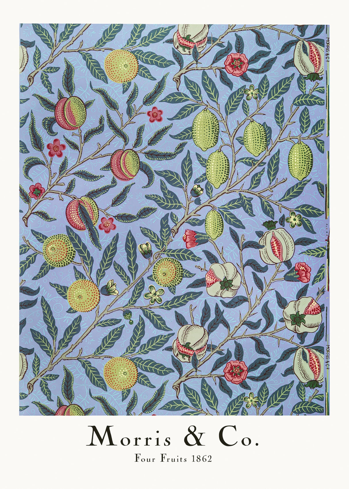 Four Fruits Poster och Canvastavla