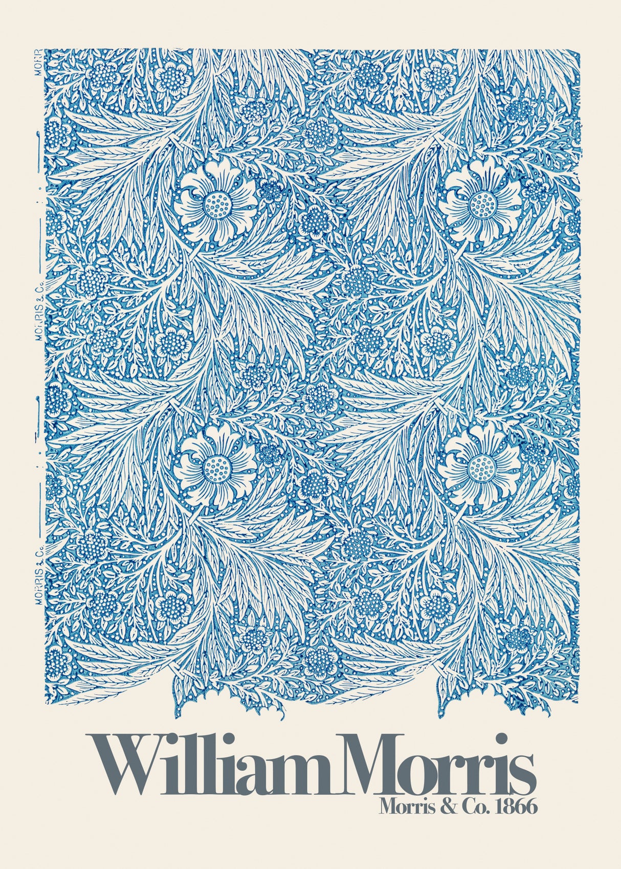 Marigold Poster och Canvastavla