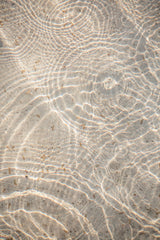Reflections 4 Poster och Canvastavla