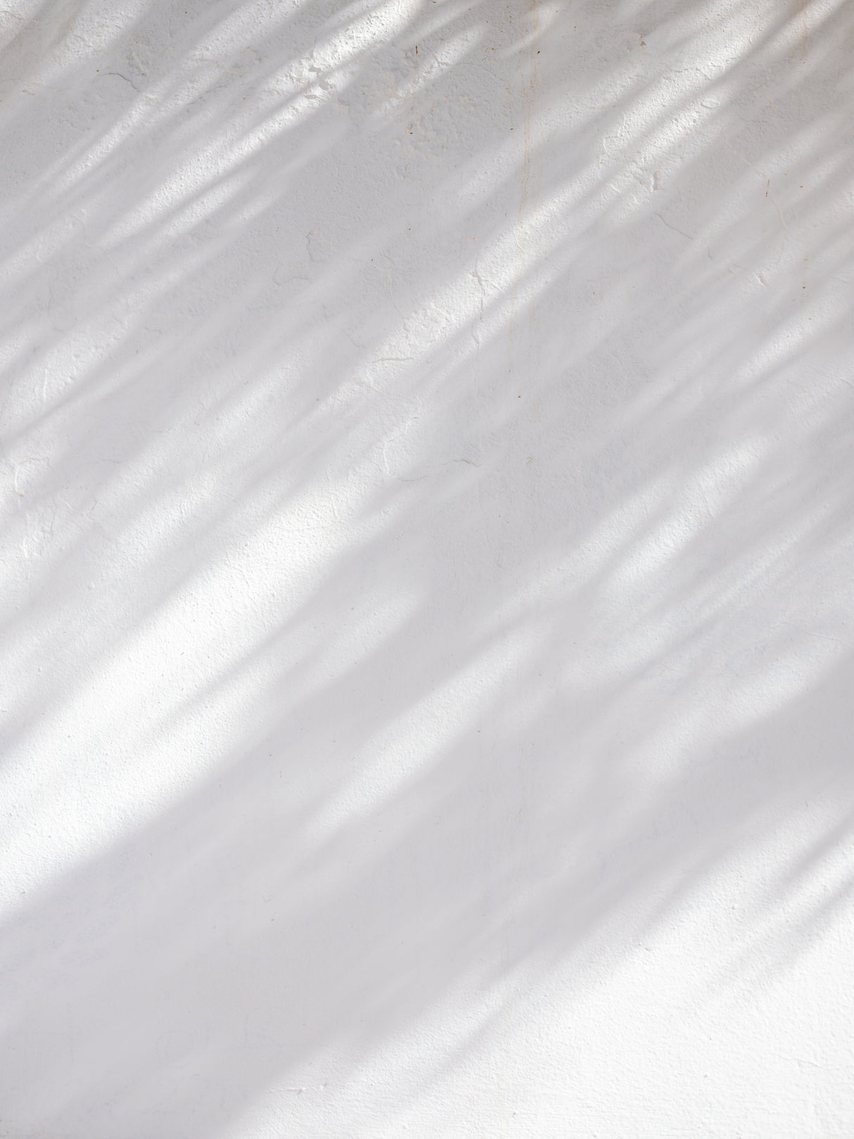 Shades of White in Morocco Poster och Canvastavla