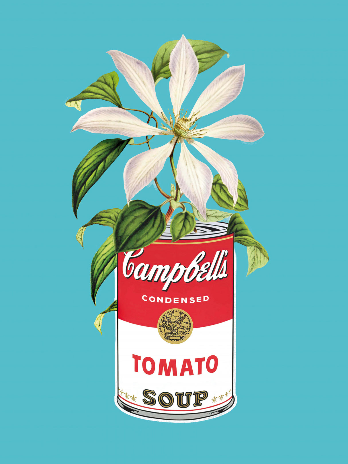 Campbells and Flowers Poster och Canvastavla