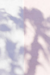 Las Vegas Palm Tree Shadows Poster och Canvastavla