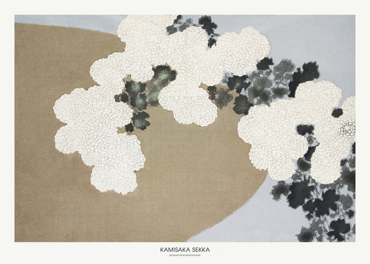 Blossom From Momoyogusa Poster och Canvastavla
