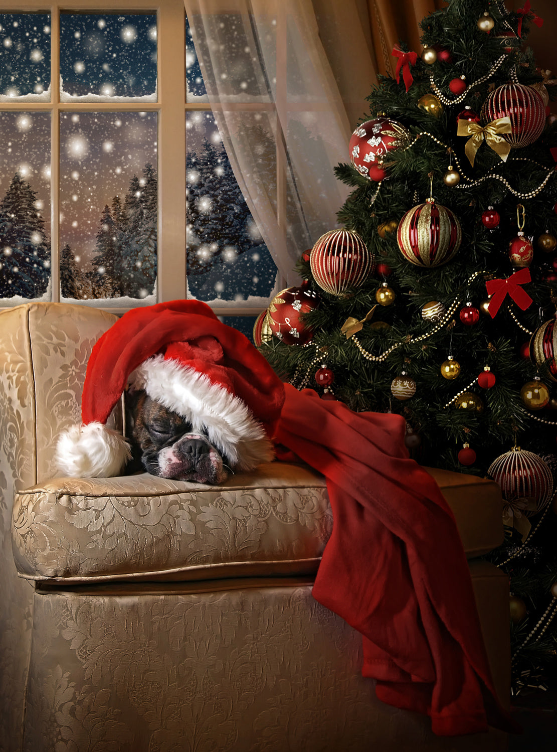 Waiting for Santa Poster och Canvastavla