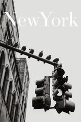 NYC Doves Poster och Canvastavla