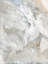 Alpine Alpenglow Poster och Canvastavla