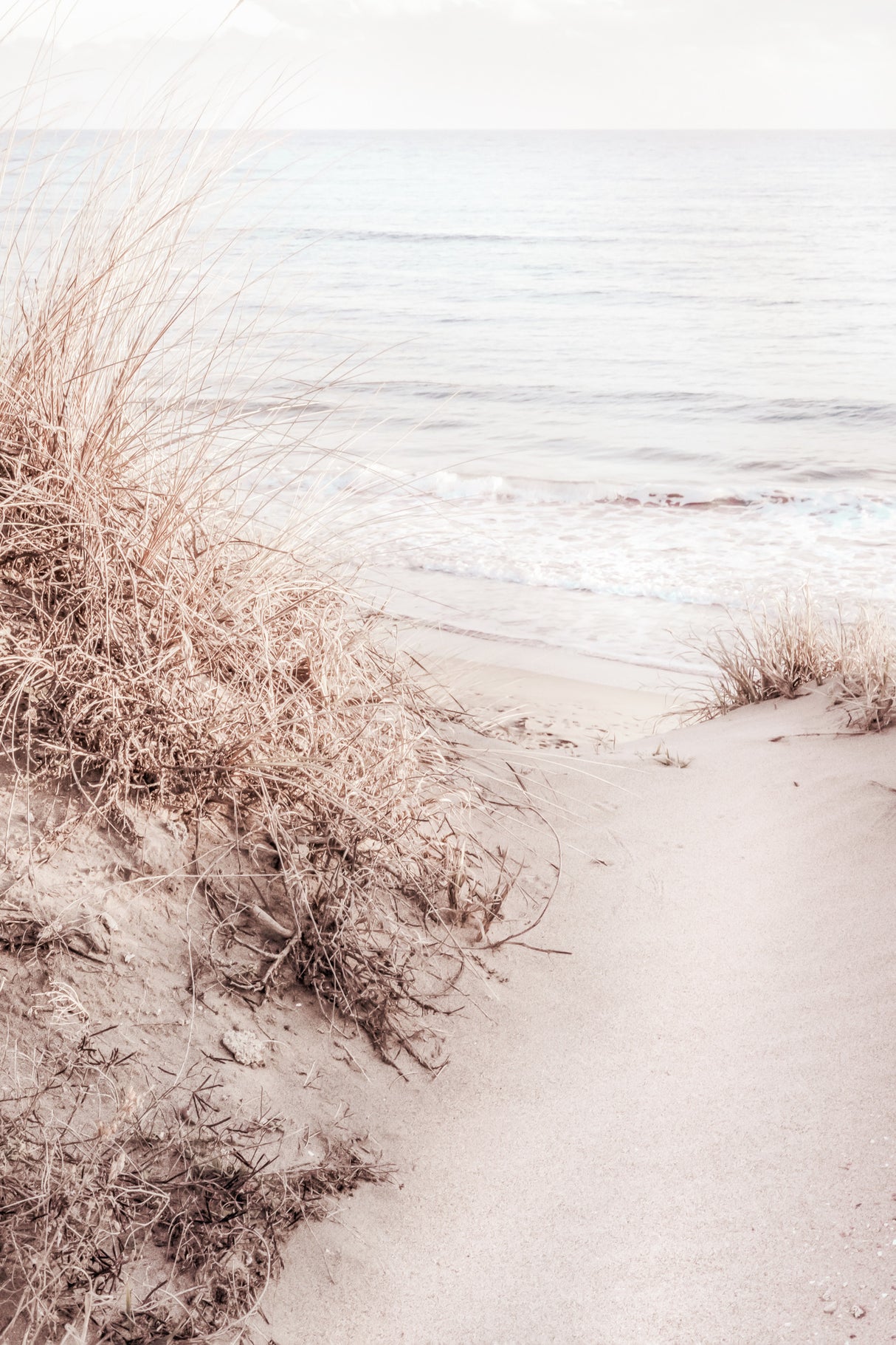 Beach_010 Poster och Canvastavla