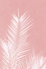 Palm Leaves On Pink Silhouette II Poster och Canvastavla