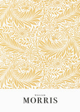 Larkspur Poster och Canvastavla