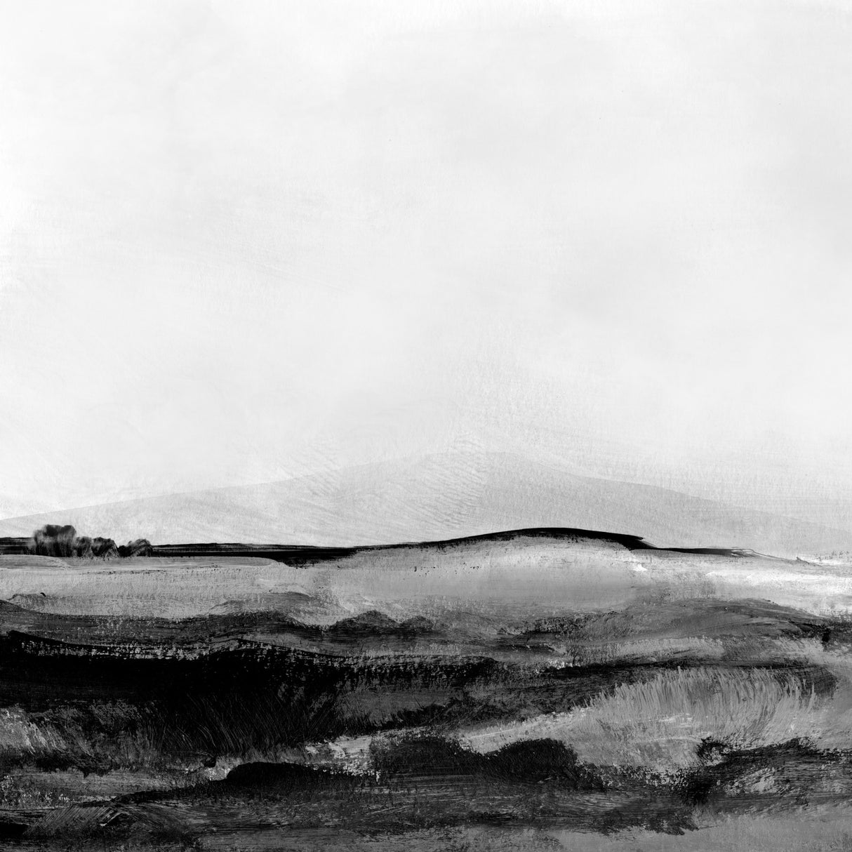 Mono Landscape No1 Poster och Canvastavla